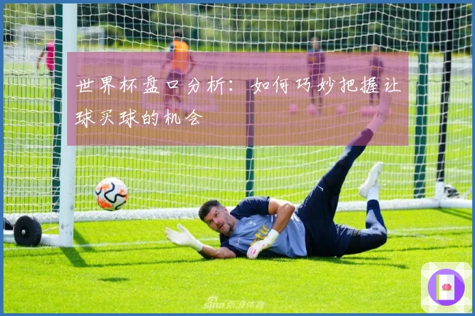 世界杯盘口分析：如何巧妙把握让球买球的机会