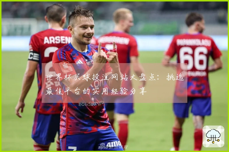 世界杯买球投注网站大盘点：挑选最佳平台的实用经验分享