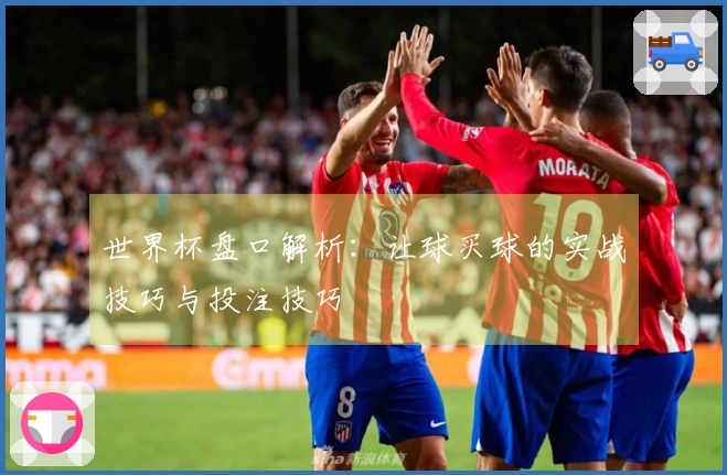 世界杯盘口解析：让球买球的实战技巧与投注技巧