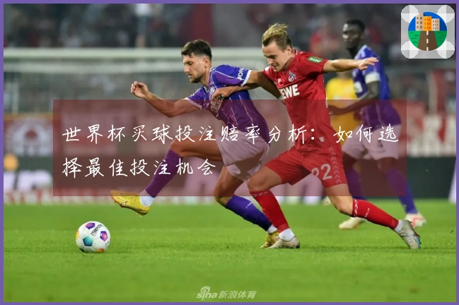 世界杯买球投注赔率分析：如何选择最佳投注机会