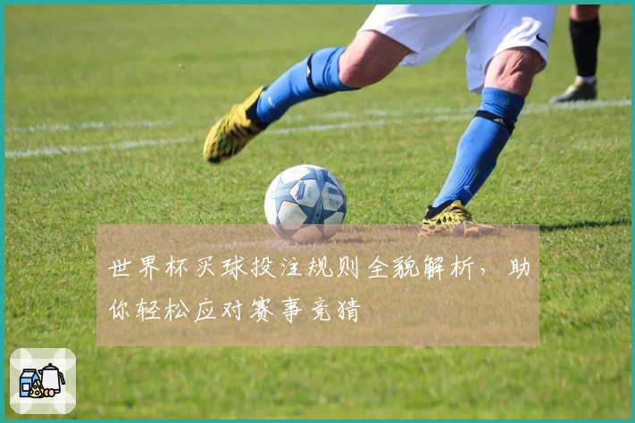 世界杯买球投注规则全貌解析，助你轻松应对赛事竞猜