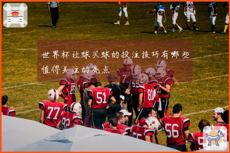 世界杯让球买球的投注技巧有哪些值得关注的亮点